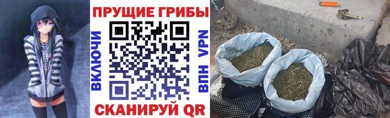 Купить закладки  Барыш  Псилоцибиновые грибы Psilocybine cubensis 